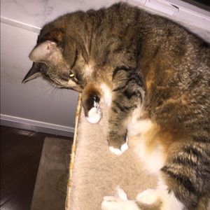 Meet your Posher, Barbara